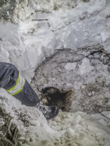 A person&#039;s leg with a yellow reflective stripe in the snow is reaching into a dark hole in the snow. The hole seems to be covered with ice and the person&#039;s foot is wearing a dark boot. The snow around the hole appears undisturbed. The snow is white and there is a lot of it. The picture could be depicting a person checking a manhole or other utility access. The image is taken from an above angle looking down. The image is well-lit and the focus is sharp.